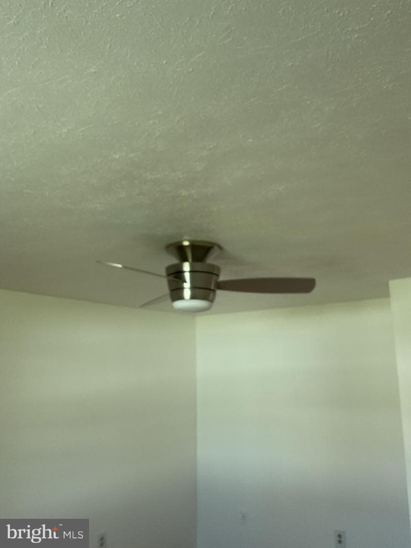 10810 Hollaway Drive photo 14