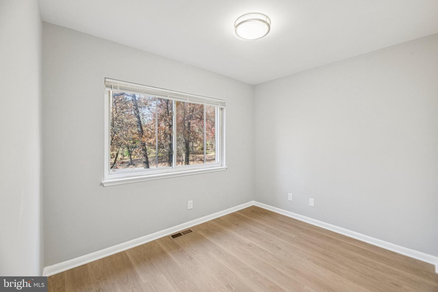 8202 Canning Terrace photo 19
