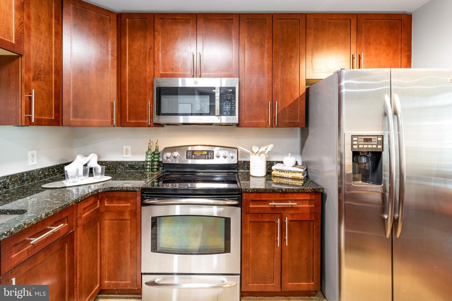 155 Potomac Passage #511 photo 9