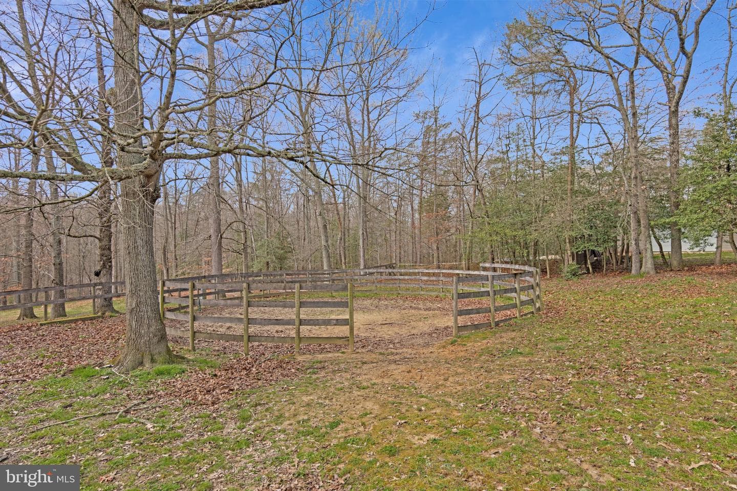 13804 Park Avenue photo 78