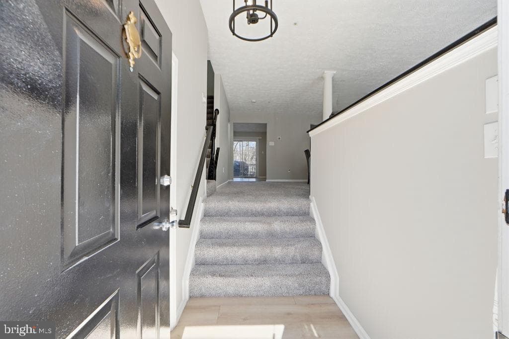 16416 Elysian Lane photo 3