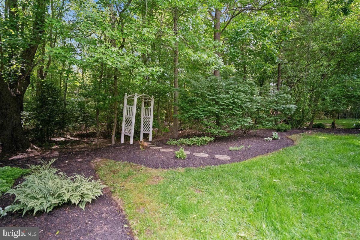 12005 Backus Drive photo 29