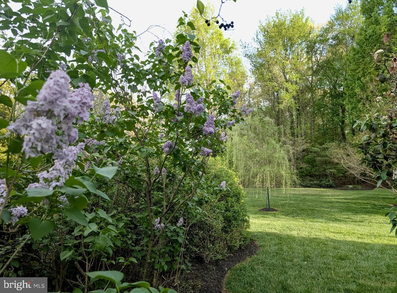 12005 Backus Drive photo 33