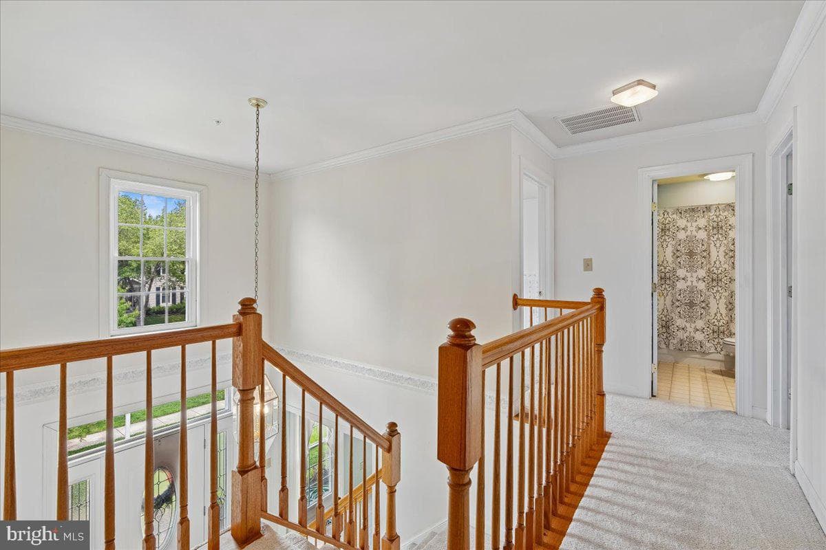 12005 Backus Drive photo 49