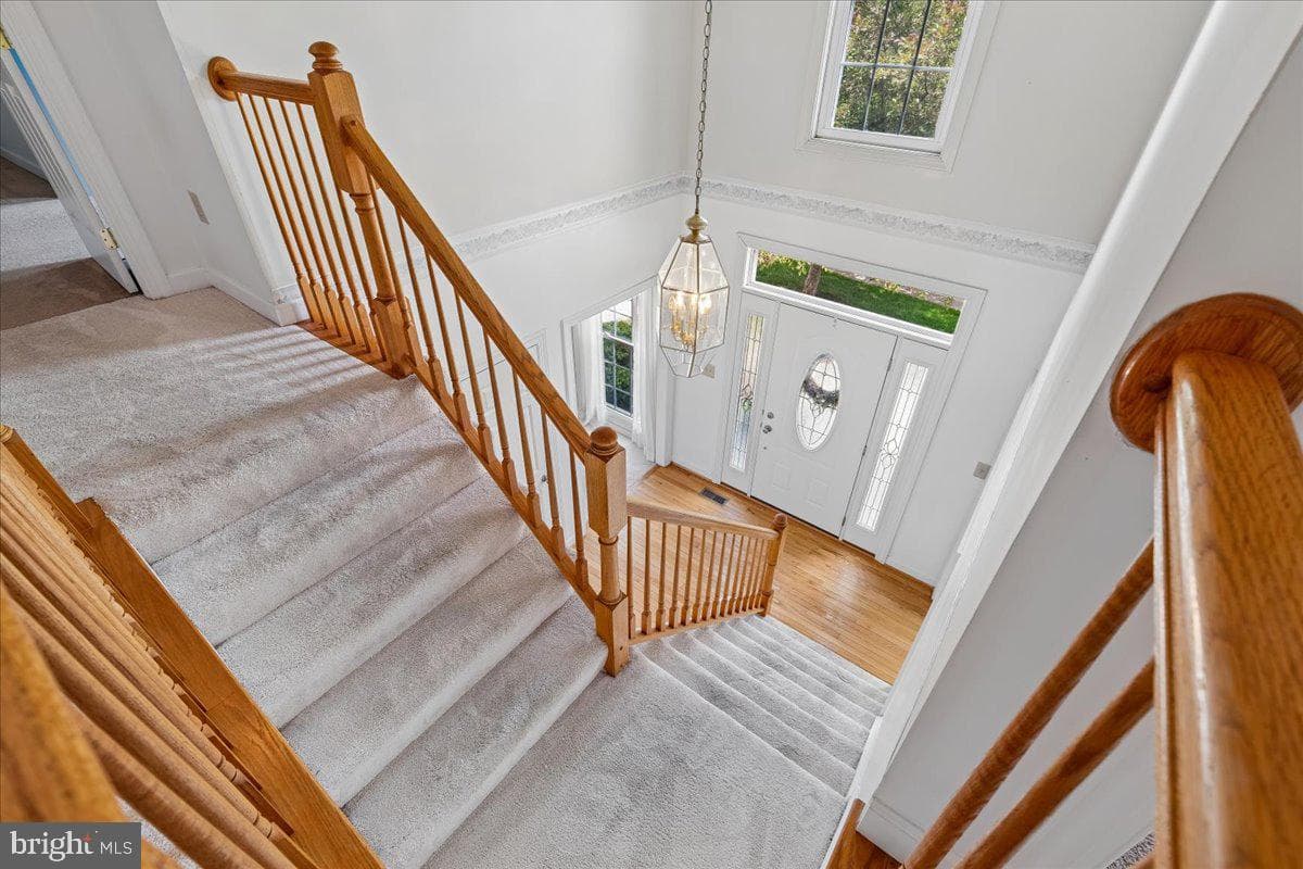 12005 Backus Drive photo 6