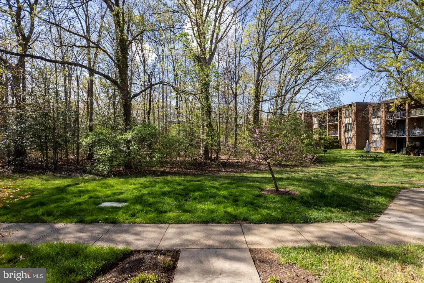 8467 Greenbelt Road #8467-102 photo 28