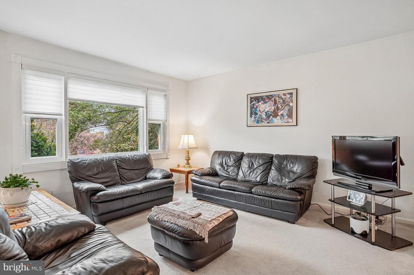 8606 Bluffwood Lane photo 3