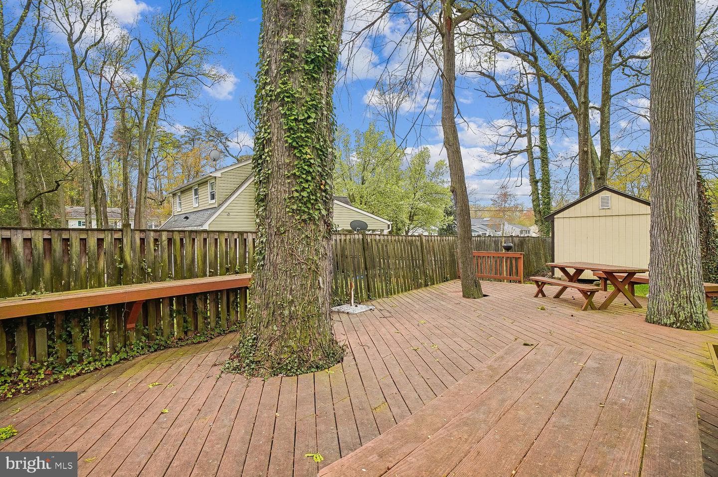 8606 Bluffwood Lane photo 41