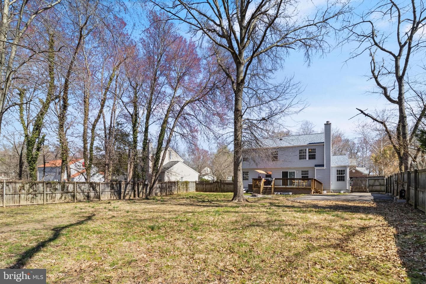 8302 Climbing Fern Court photo 42