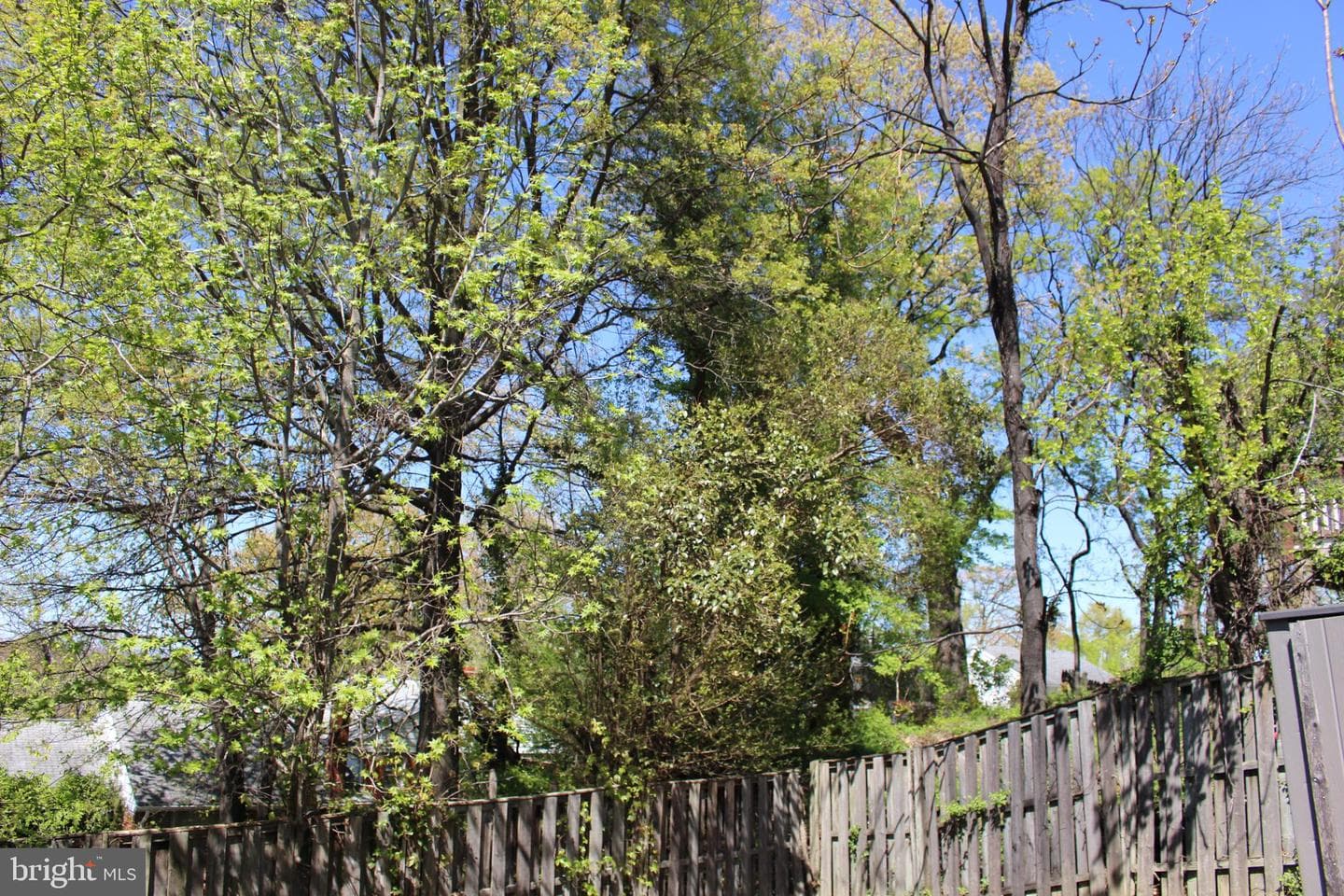 4706 Heath Street photo 42