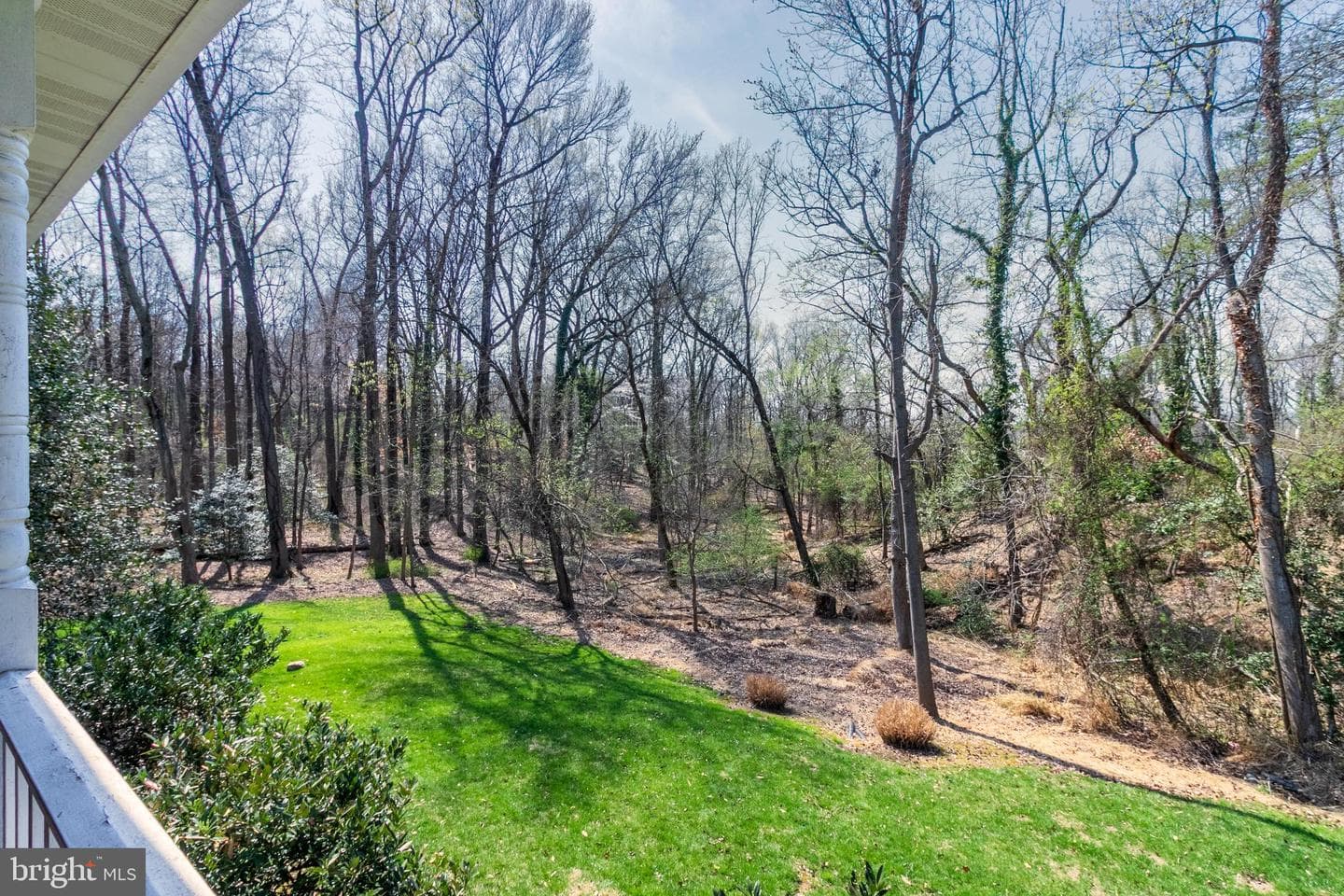 3300 Rosemary Lane photo 12