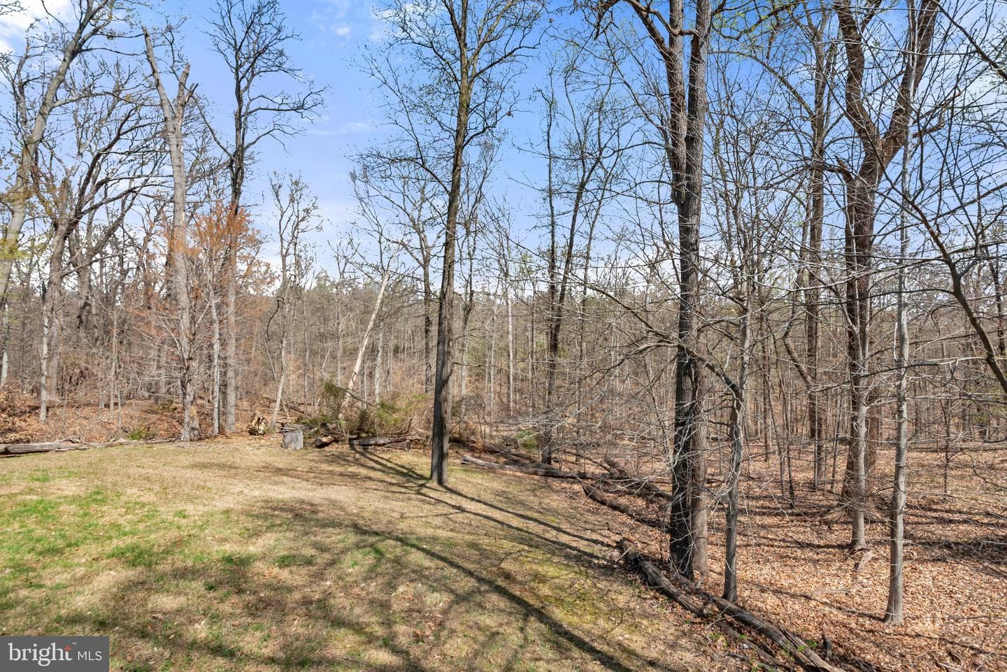 2012 Frontier Court photo 39