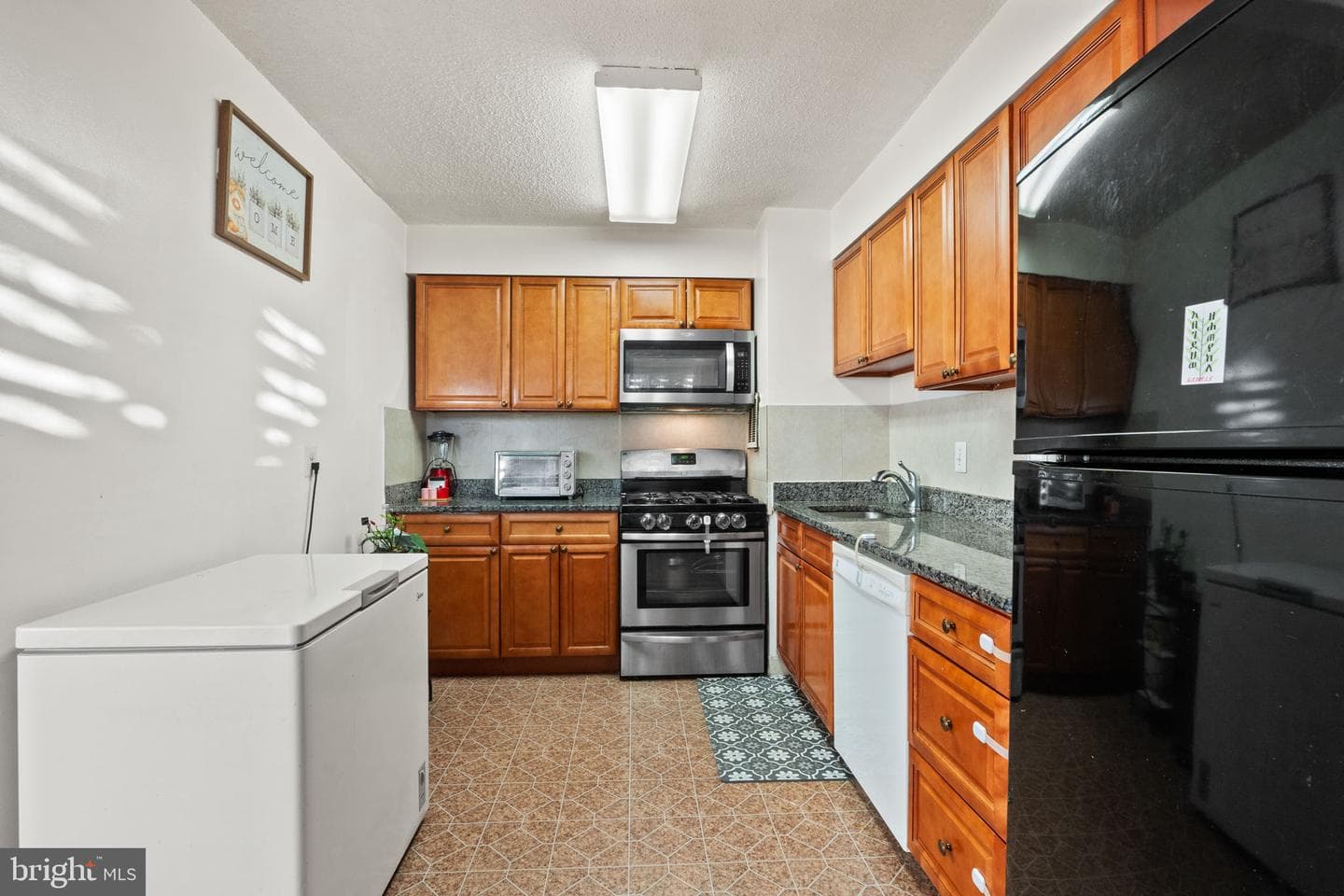 1832 Metzerott #303 photo 12