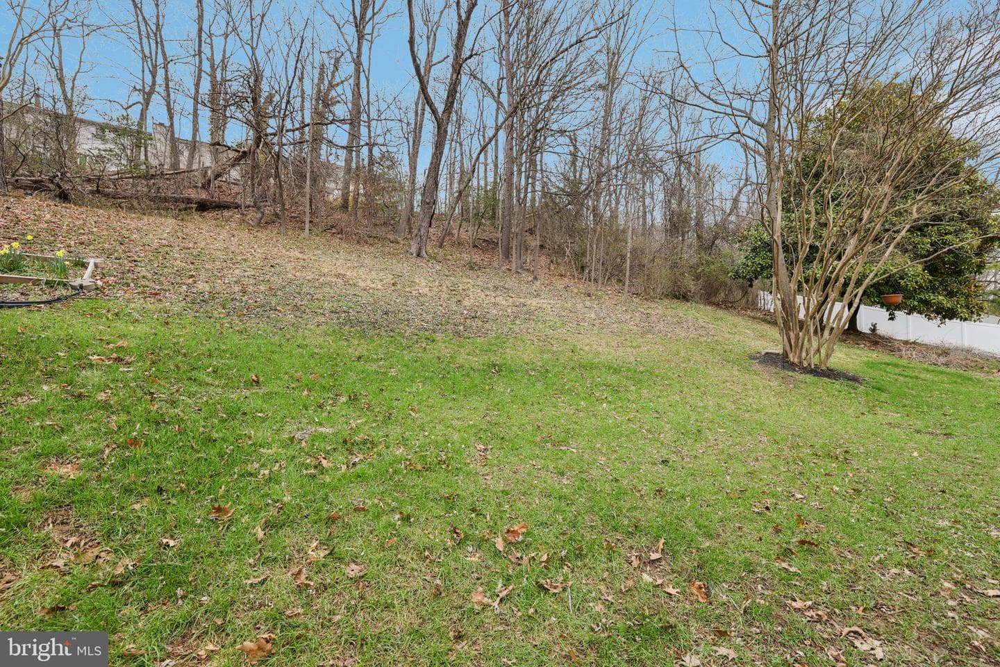 8406 Snowden Loop Court photo 45