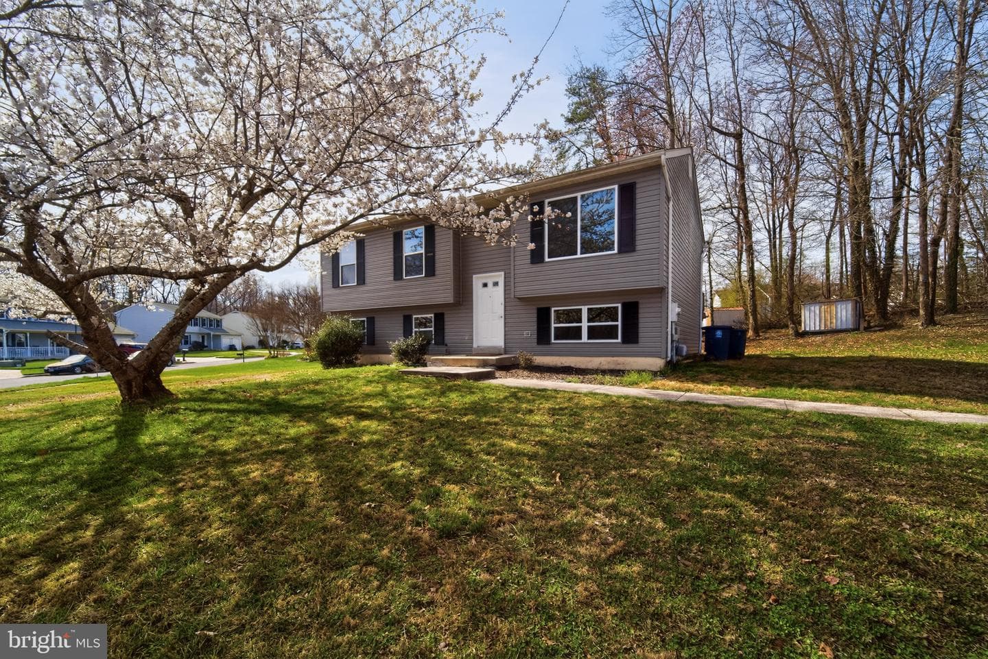 11015 Pompey Drive photo 23