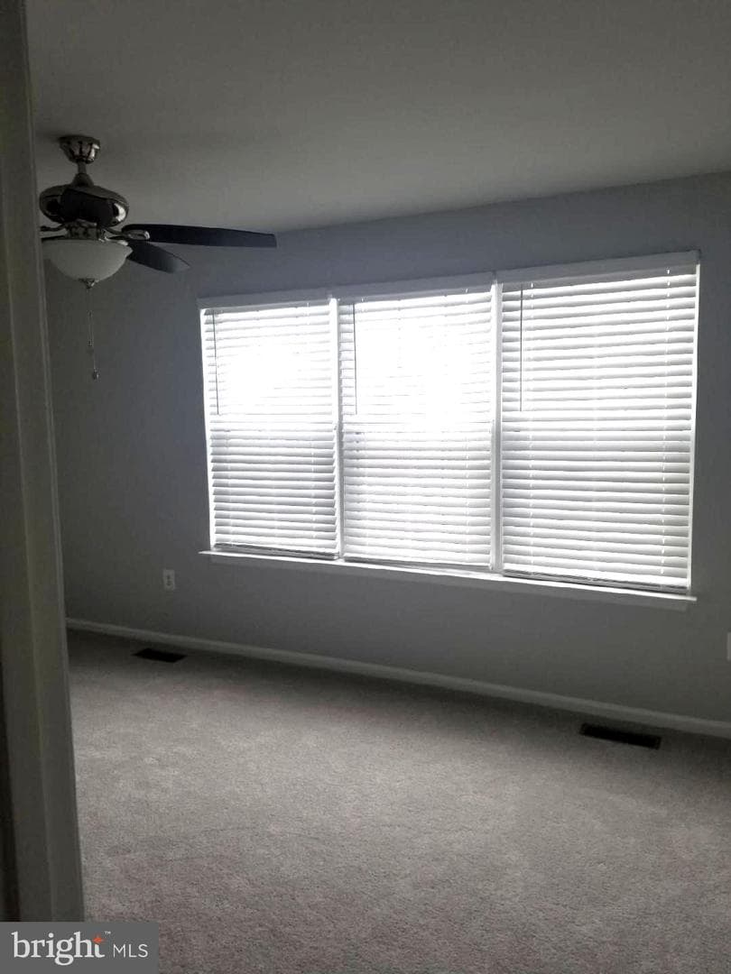 121 Firethorn Court #11-5 photo 17