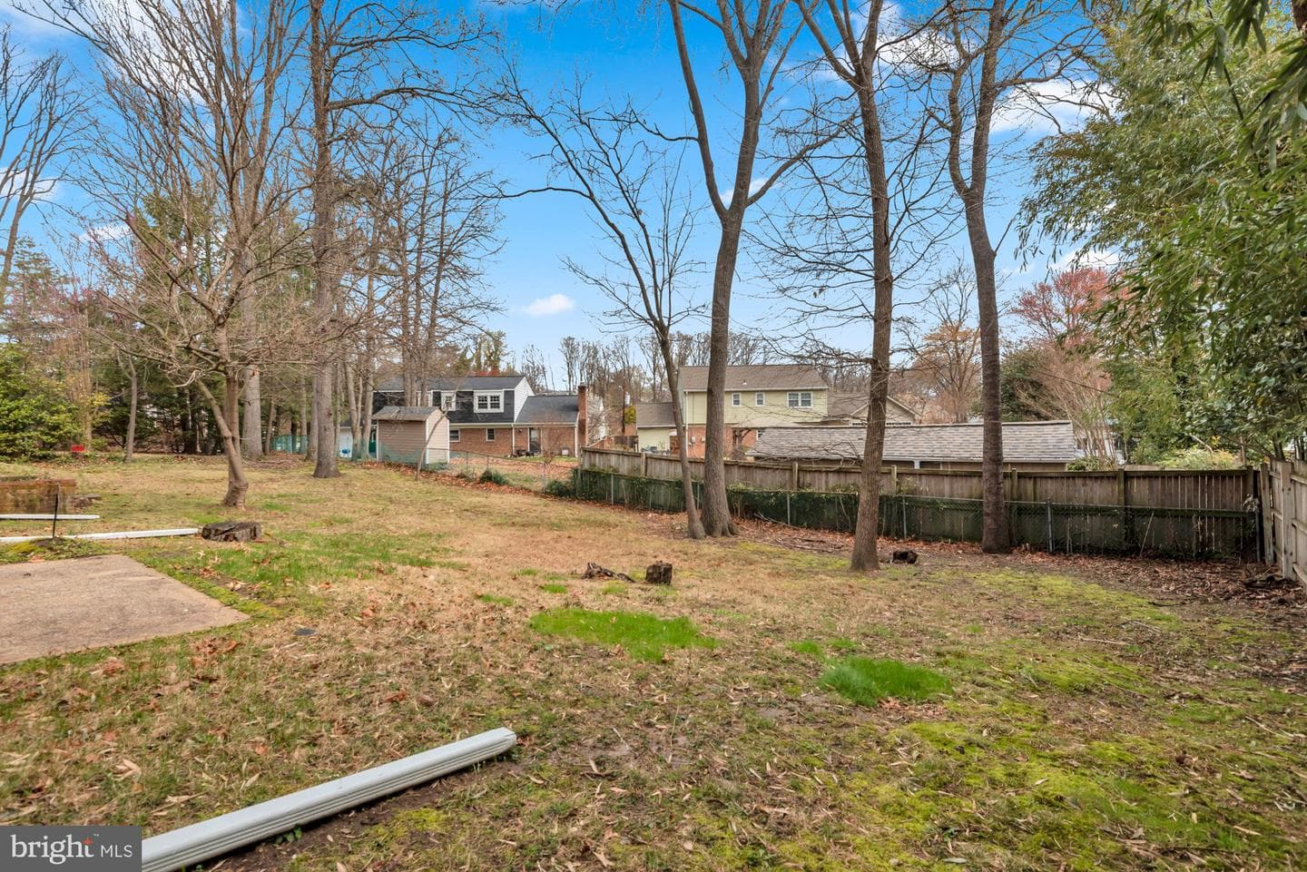10115 Chickadee Lane photo 50