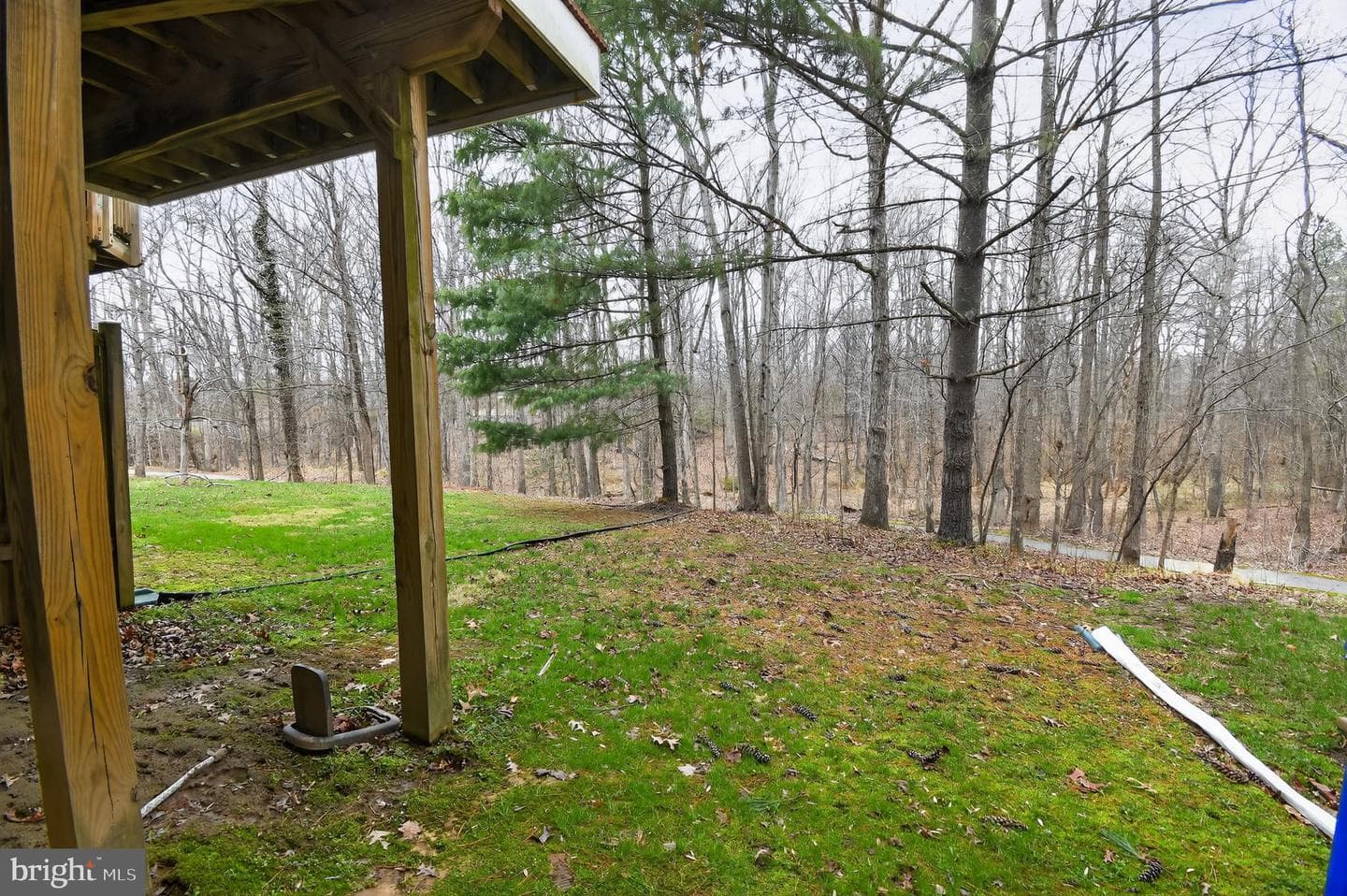 7936 Quill Point Drive photo 32