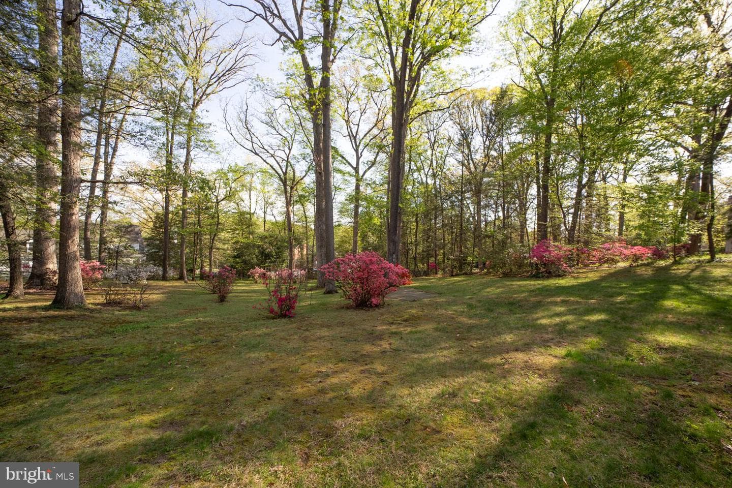 3911 Commander Drive photo 32