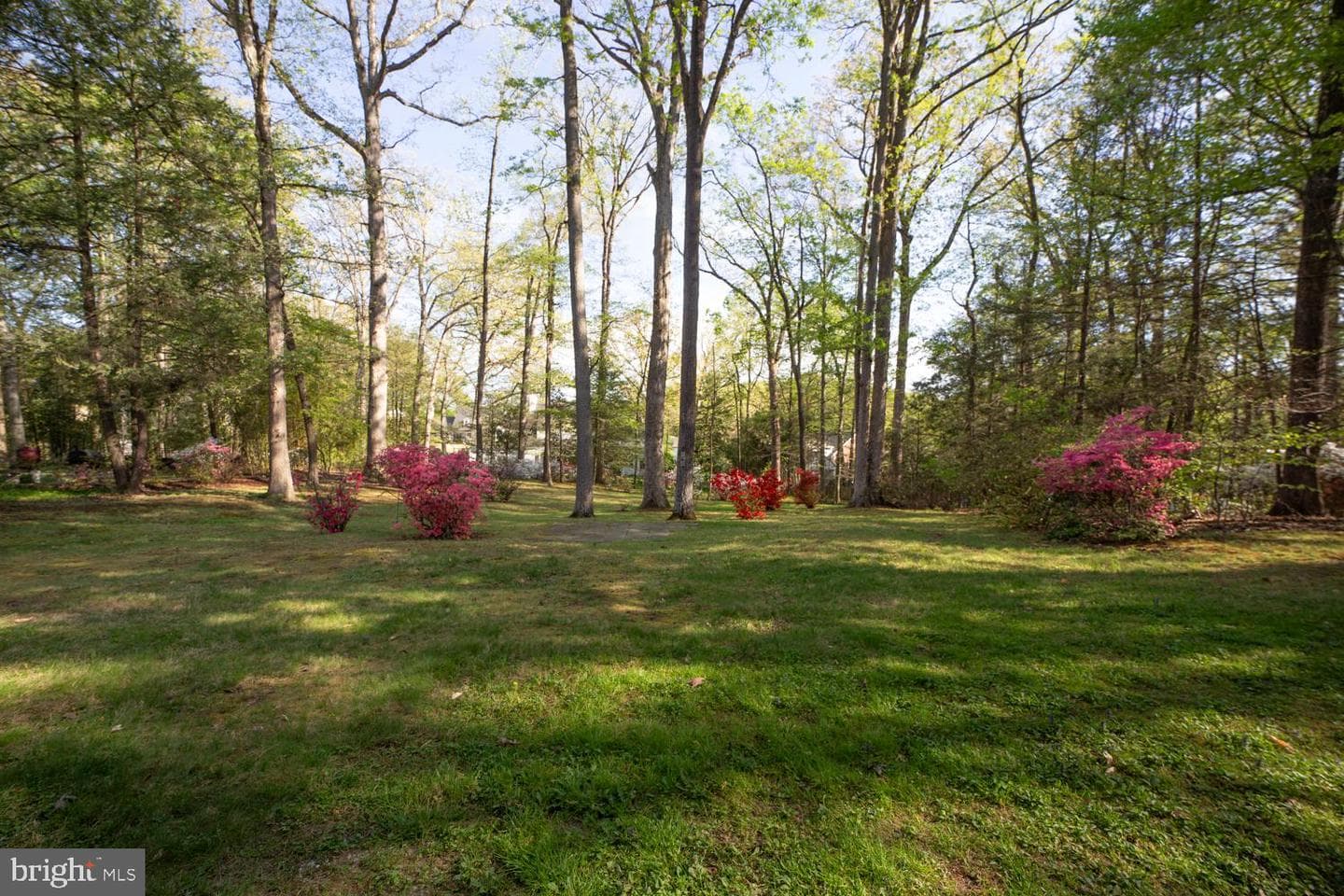 3911 Commander Drive photo 33