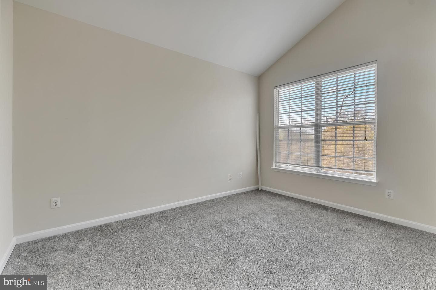 14407 Hampshire Hall Court #g-1004 photo 15