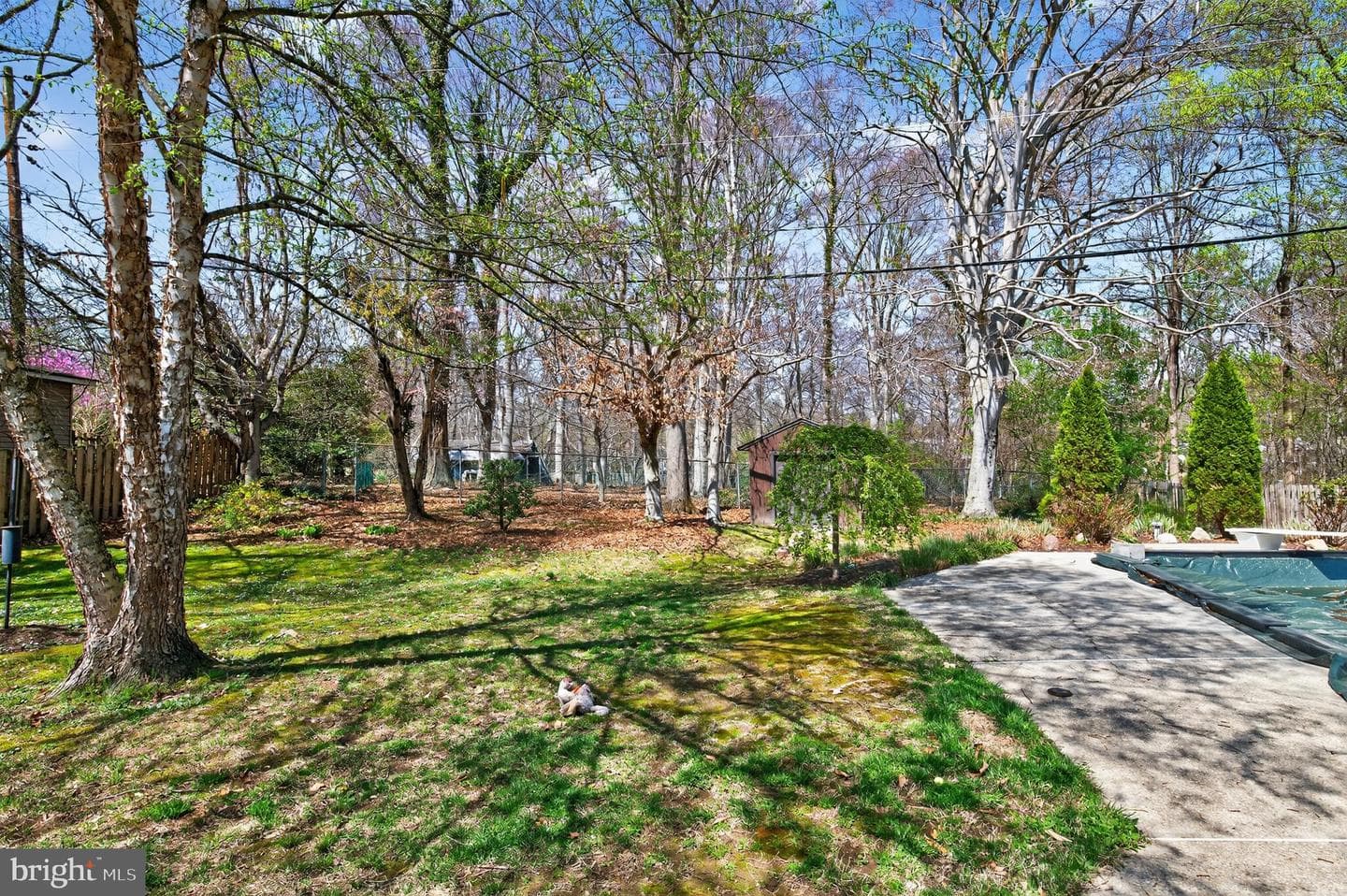 4204 Yeadon Court photo 28