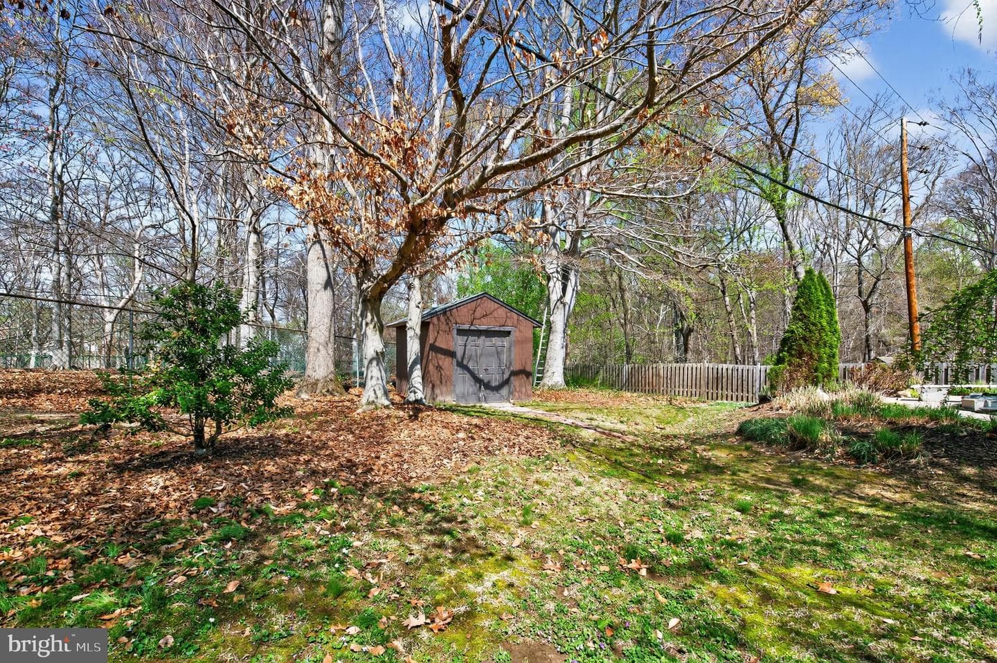 4204 Yeadon Court photo 30