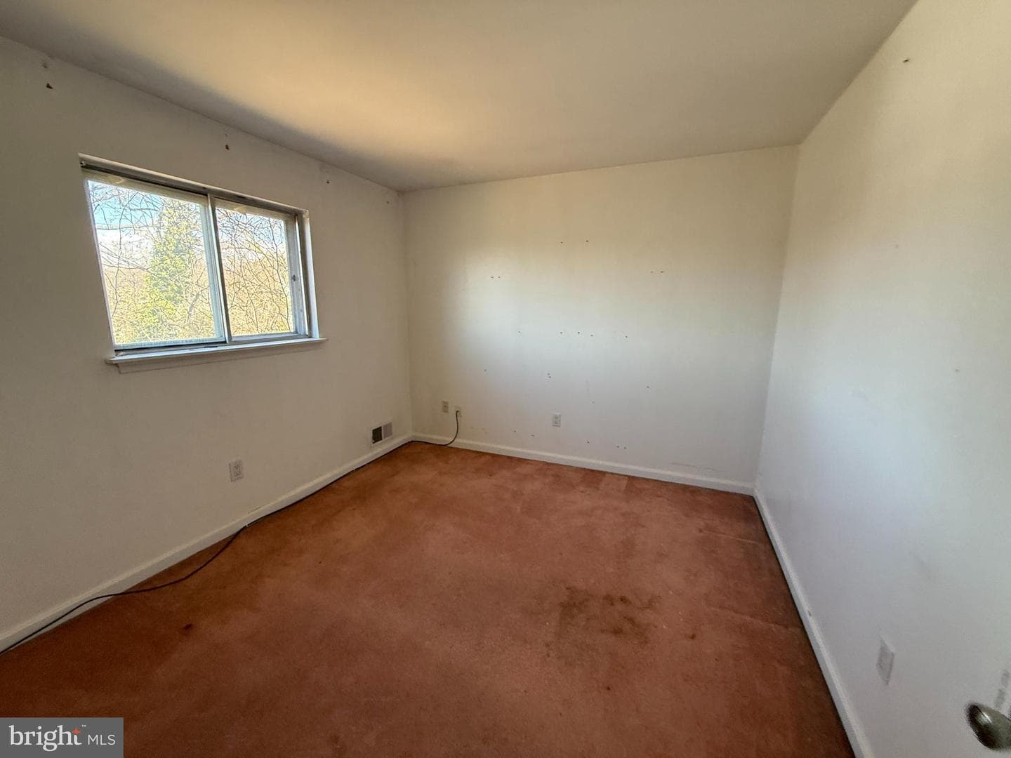 803 Bluffwood Court photo 17