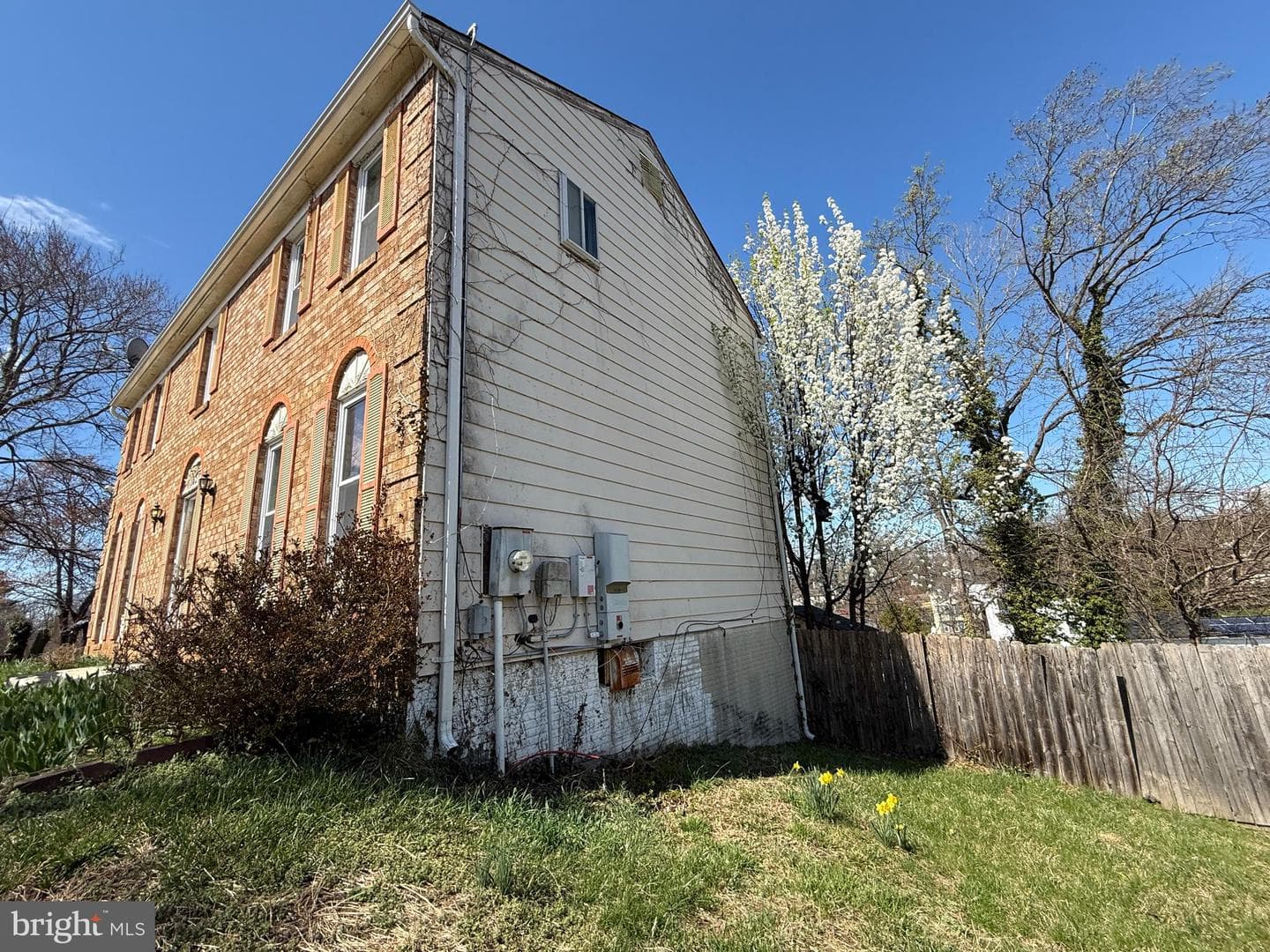 803 Bluffwood Court photo 3