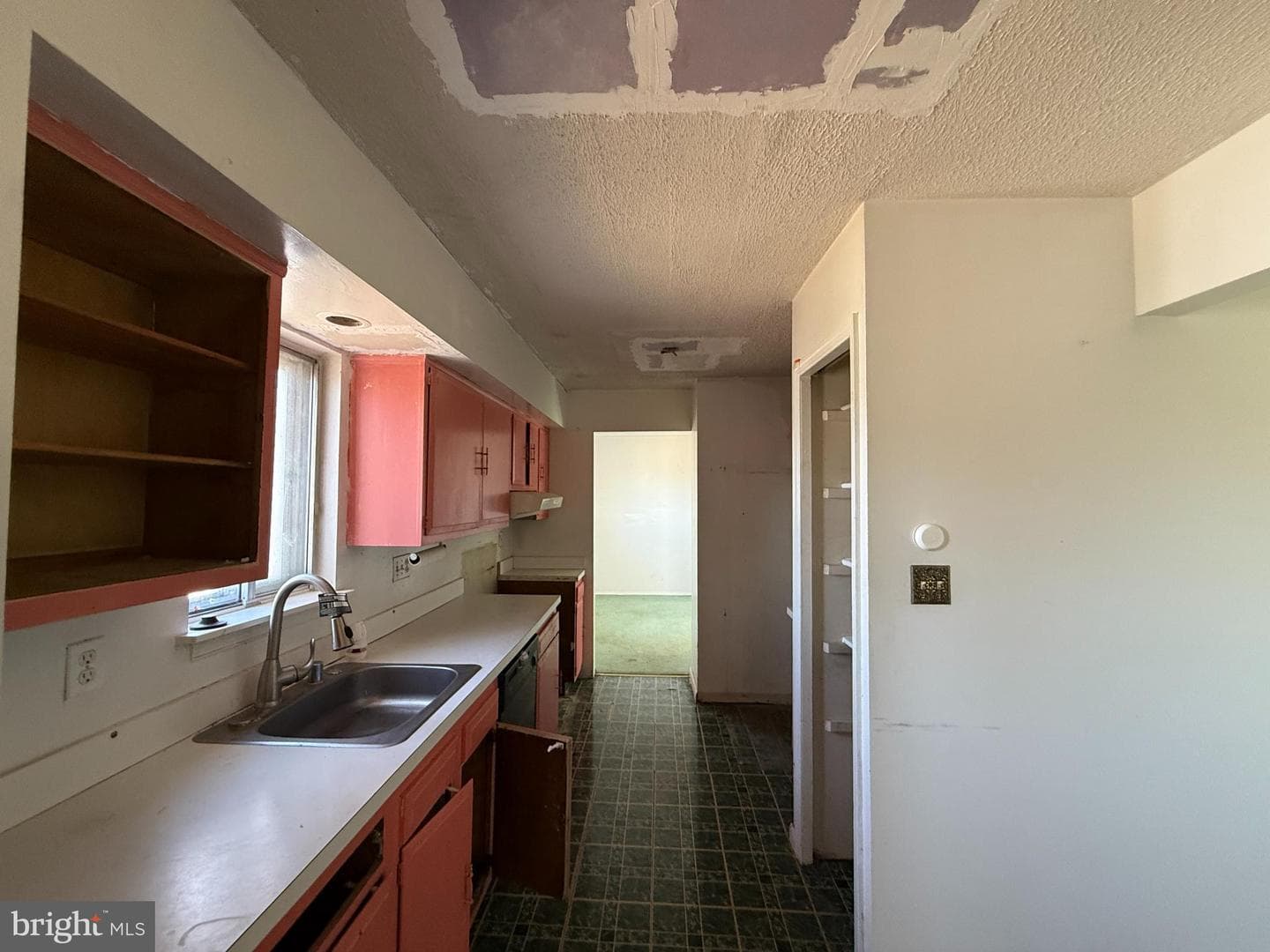 803 Bluffwood Court photo 6