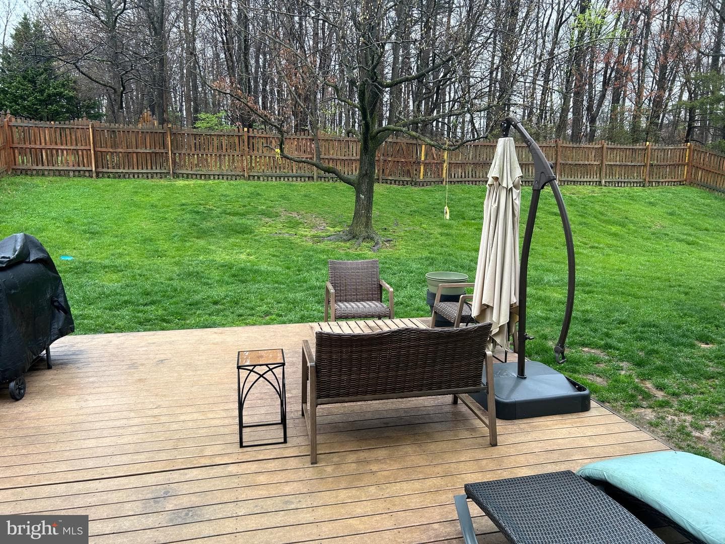 8406 Bates Drive photo 2