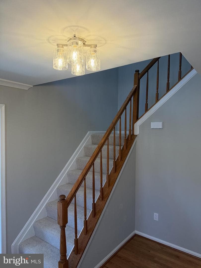 6111 Richmanor Terrace photo 4