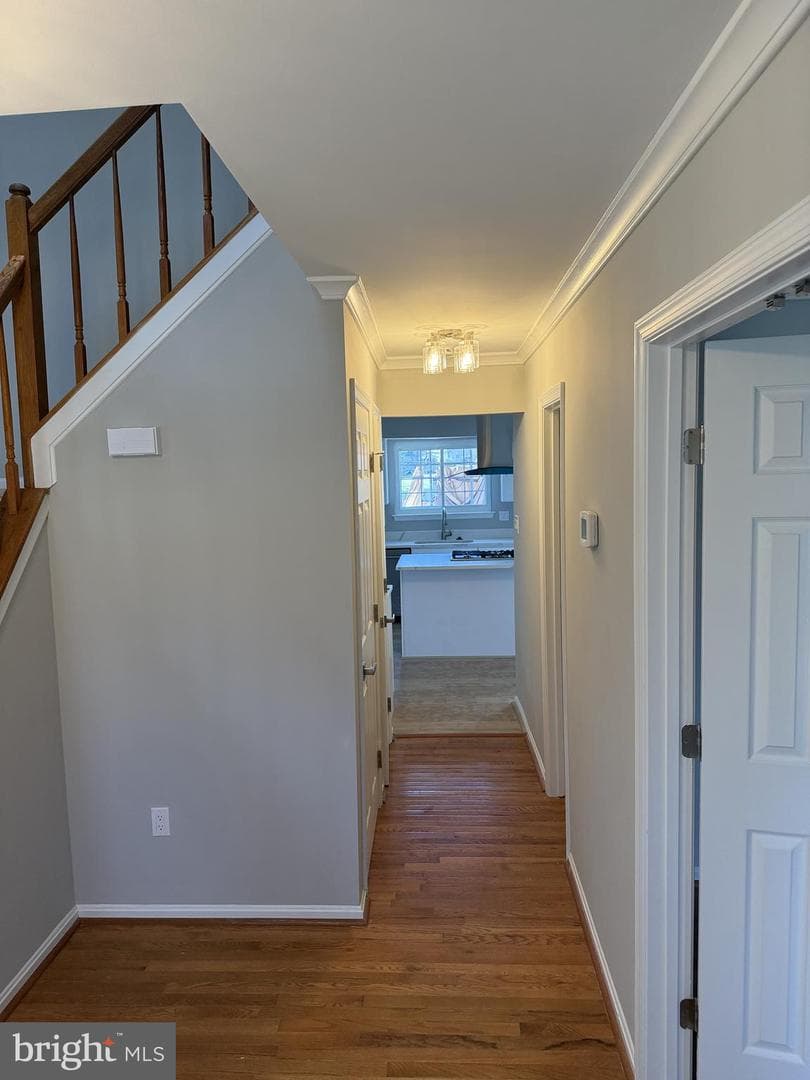 6111 Richmanor Terrace photo 5