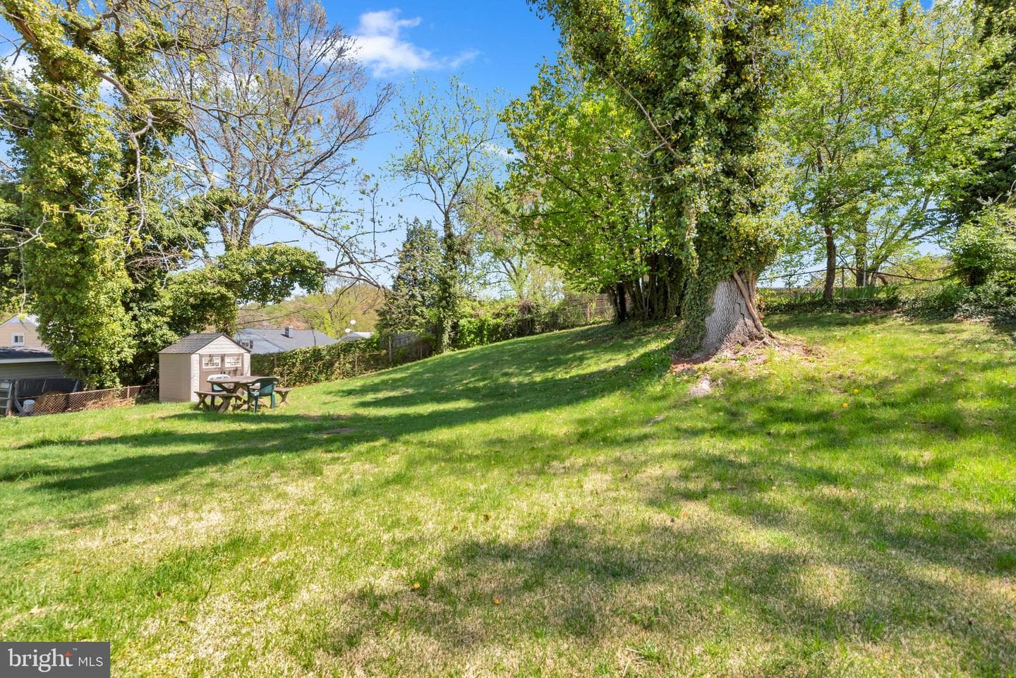7802 Elroy Place photo 43