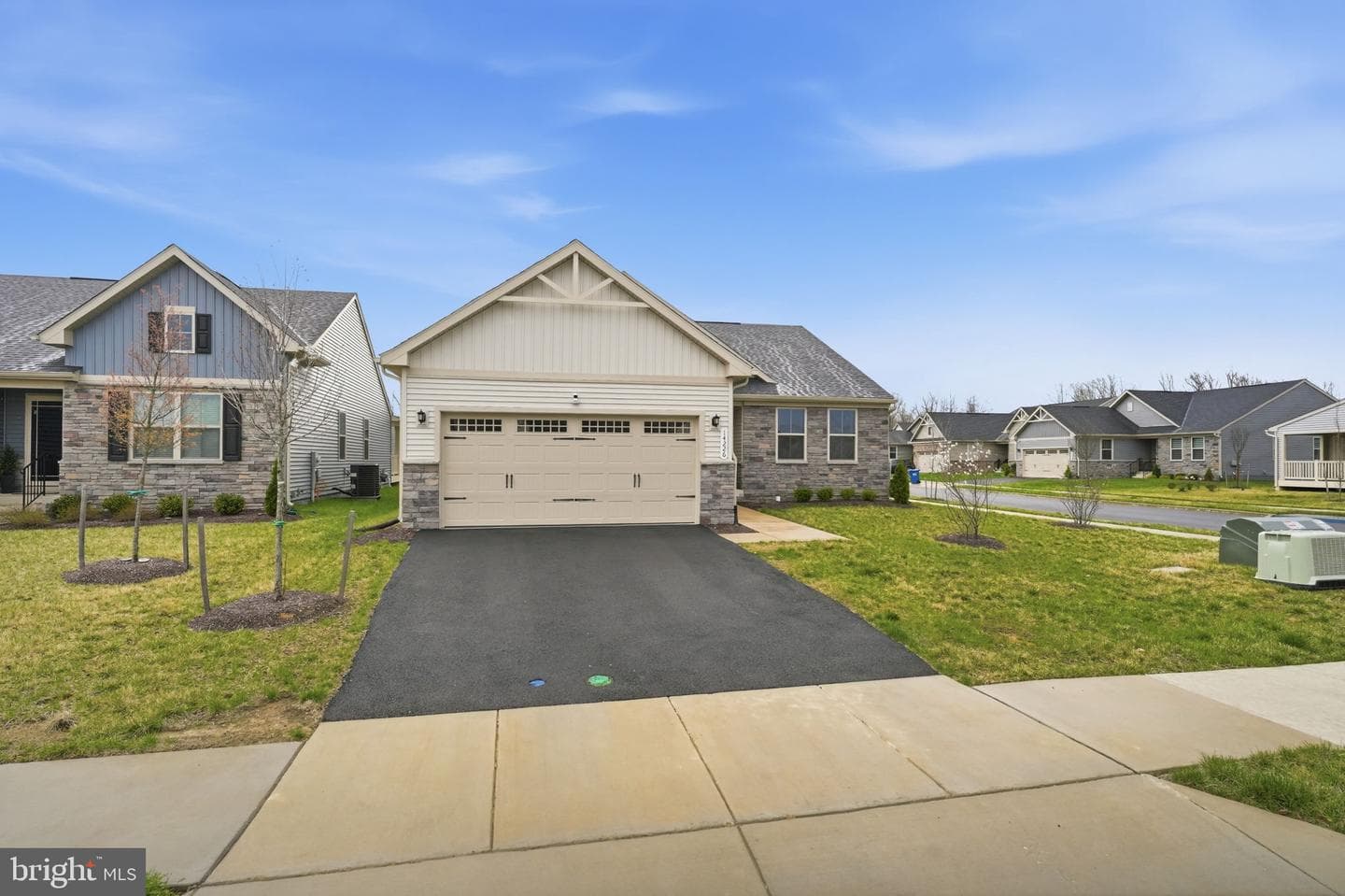 14226 Herring Run Court photo 3
