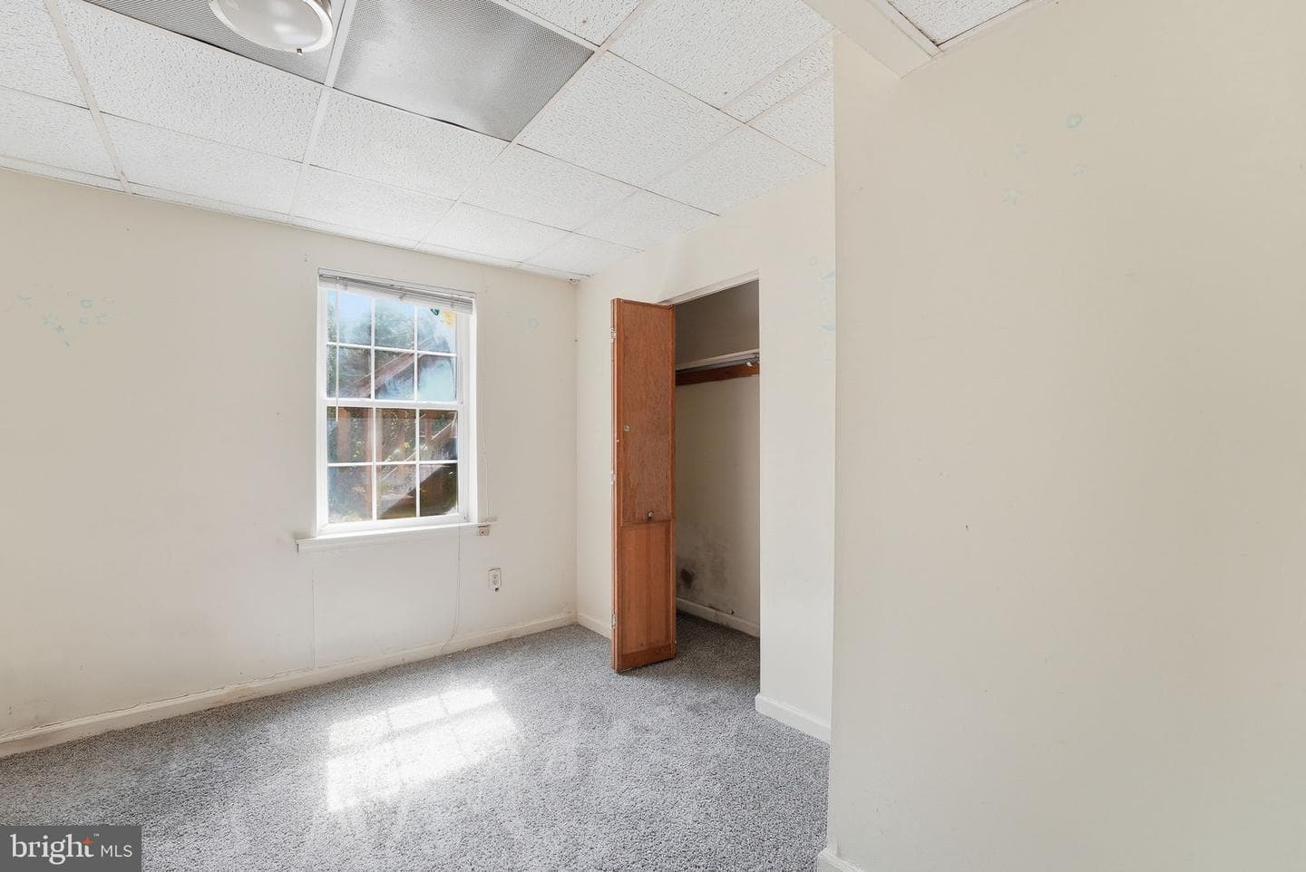 20 Tunic Avenue photo 17