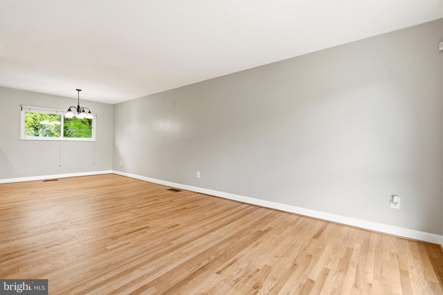 3110 81st Avenue photo 5