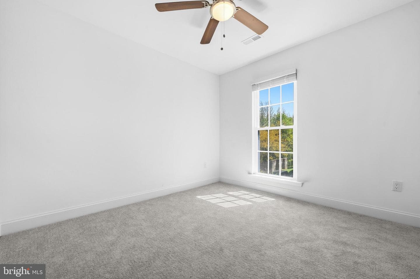 4006 Eager Terrace photo 20