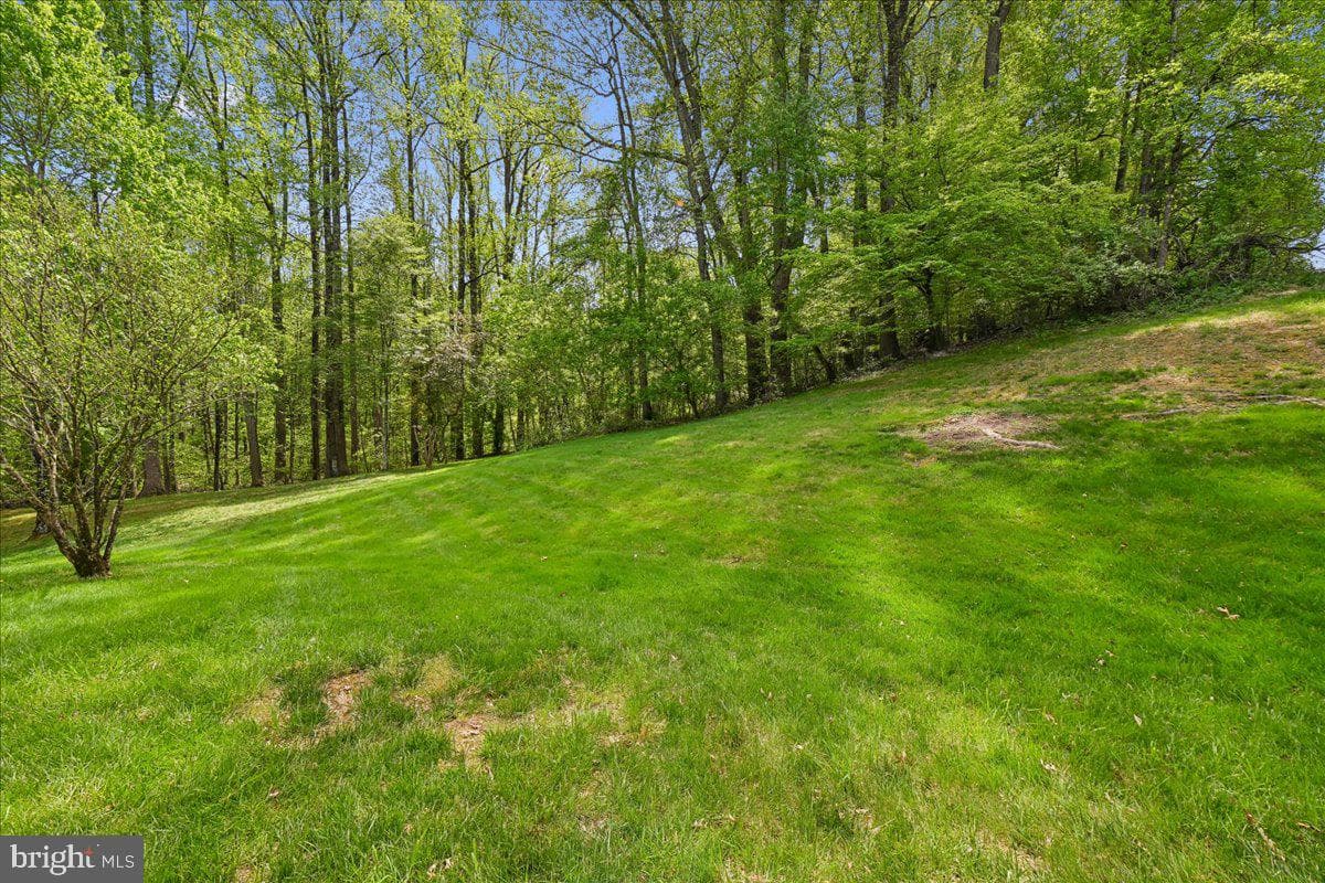 903 Brook Street photo 49