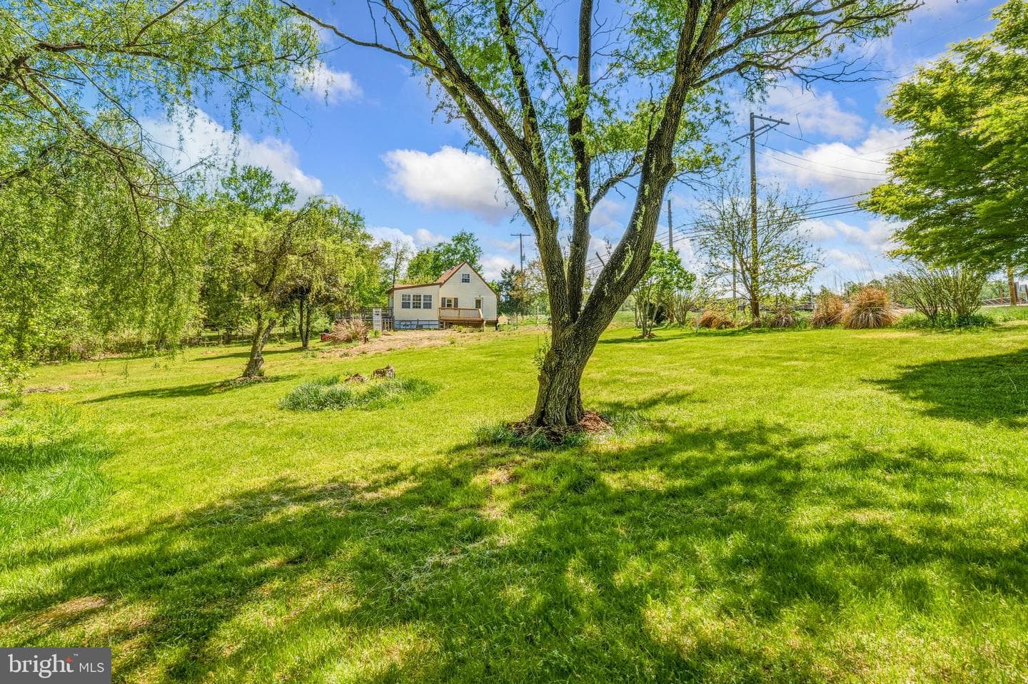 11216 Tippett Road photo 26