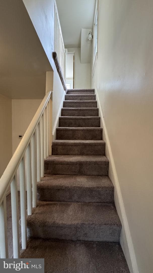 5517 Deer Pond Lane photo 19