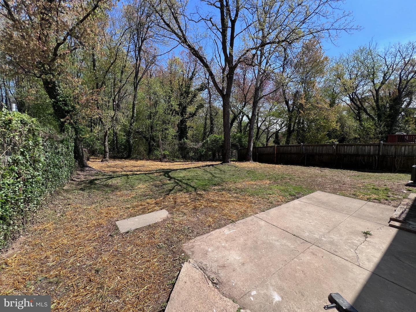 5405 Newby Avenue photo 13