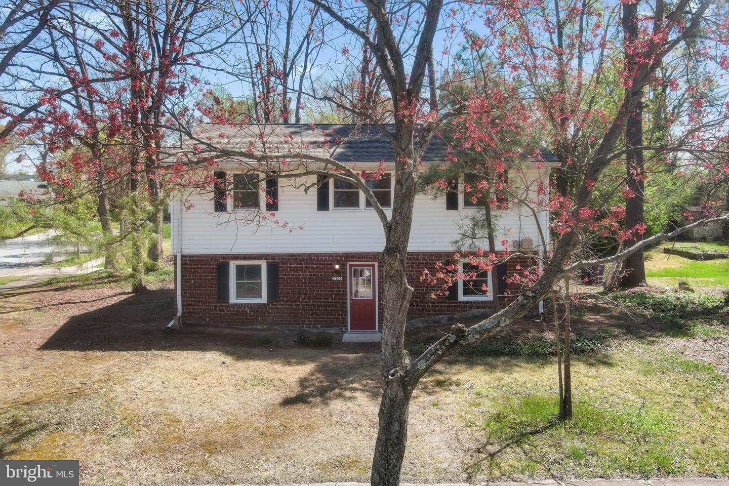8405 Ravenswood photo 56