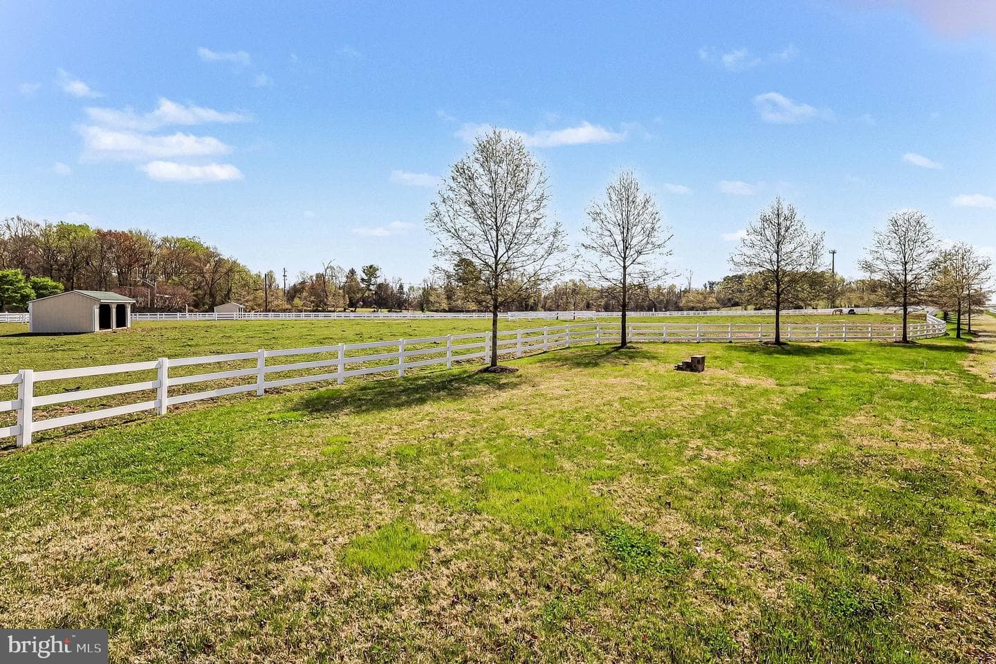 10878 Foxtrot Circle photo 38