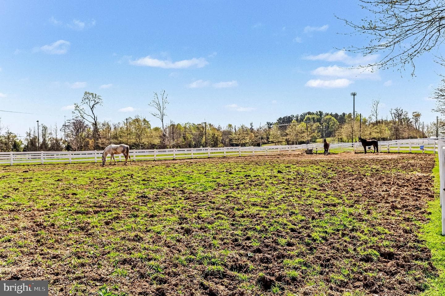 10878 Foxtrot Circle photo 39