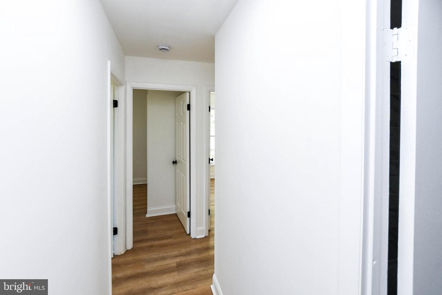 10200 New Orchard Drive photo 51