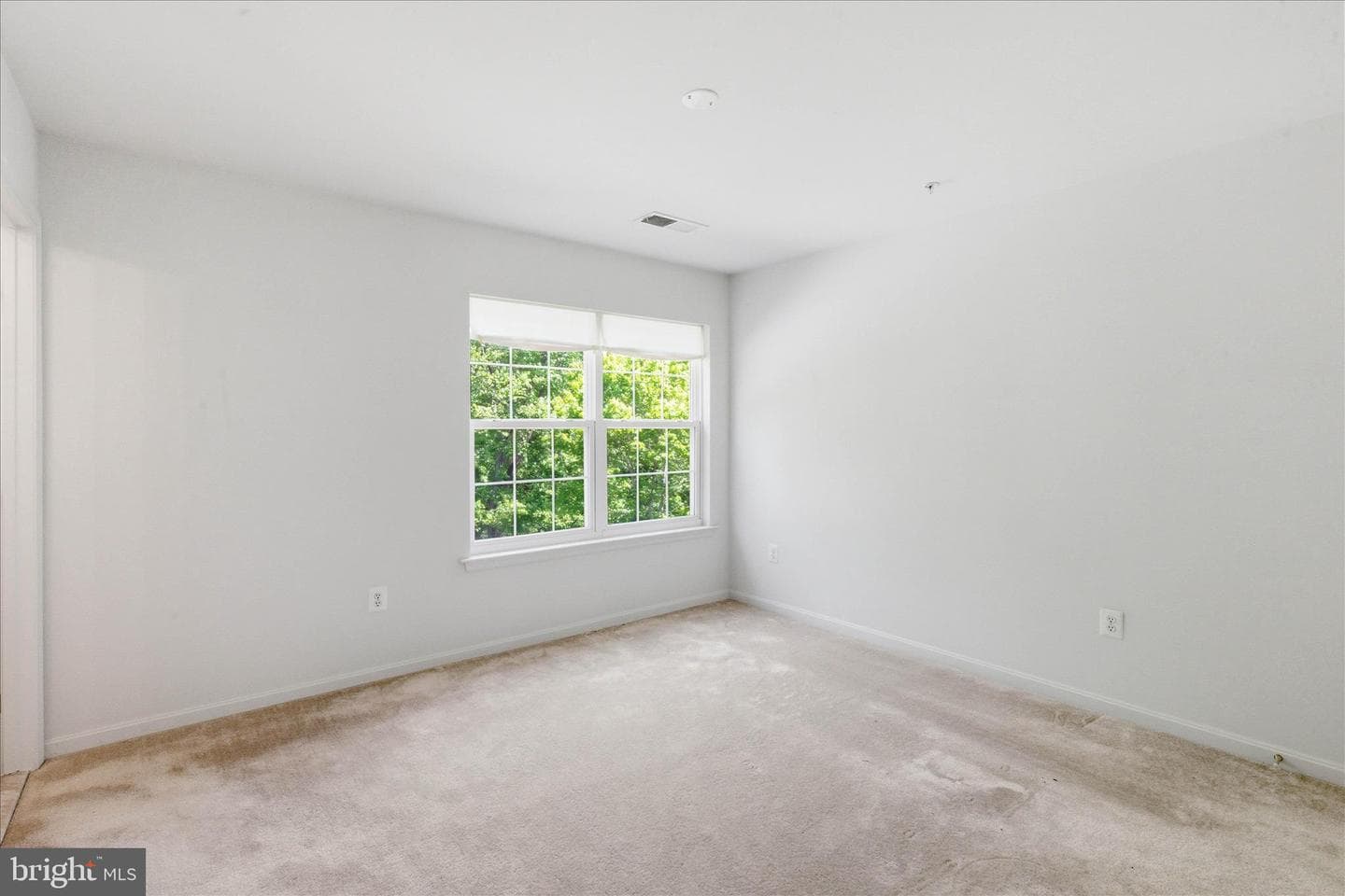 8114 Holly Lane photo 52