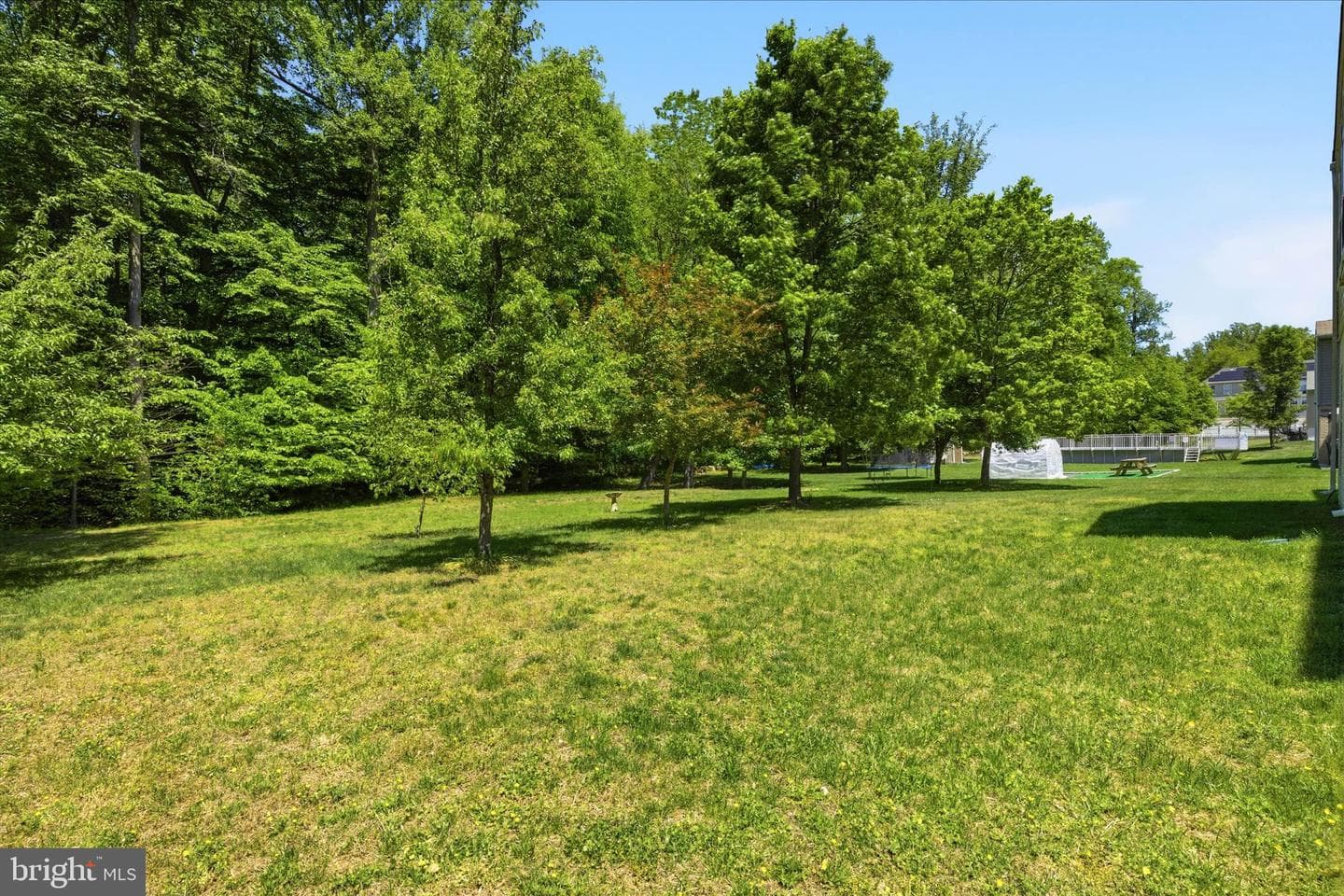 8114 Holly Lane photo 61
