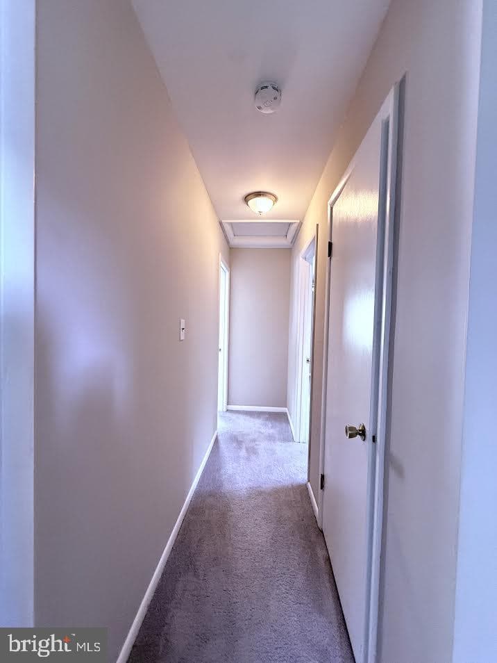8703 34th Avenue photo 15