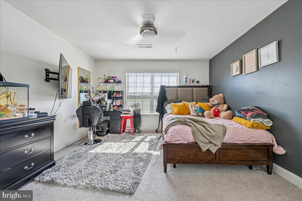 11107 King Gallahan Court photo 47